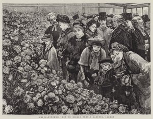 ロンドンのミドルテンプルガーデンズでの菊ショー 作： William Small
